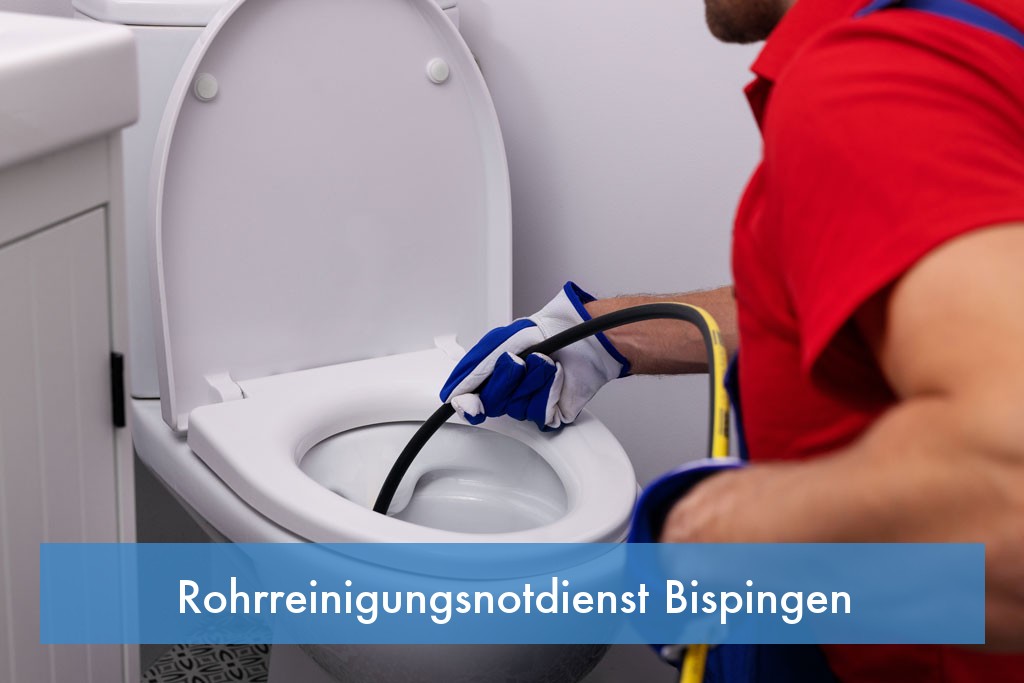 Rohrreinigungsnotdienst Bispingen